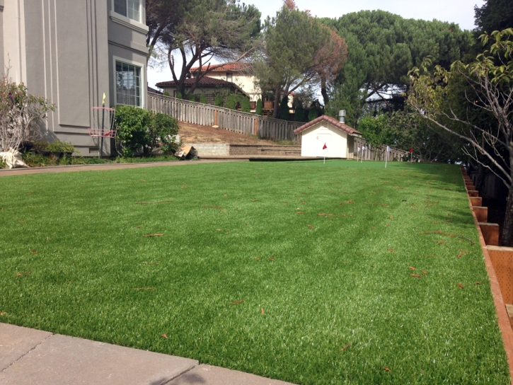 Grass Turf San Joaquin, California Backyard Playground, Backyard Designs