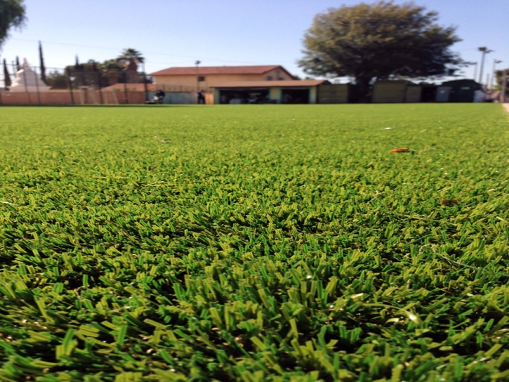 Green Lawn Palo Alto, California Football Field