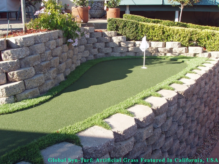 Lawn Services Albany, California Roof Top, Backyards