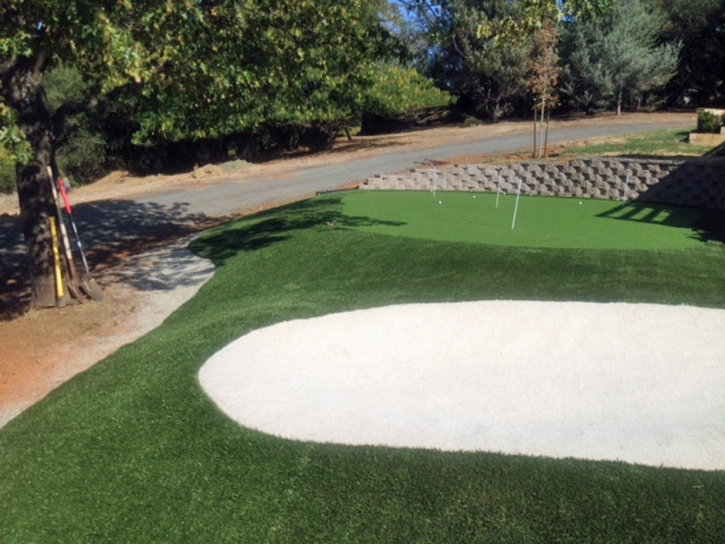 Outdoor Carpet Millbrae, California Putting Green, Small Front Yard Landscaping