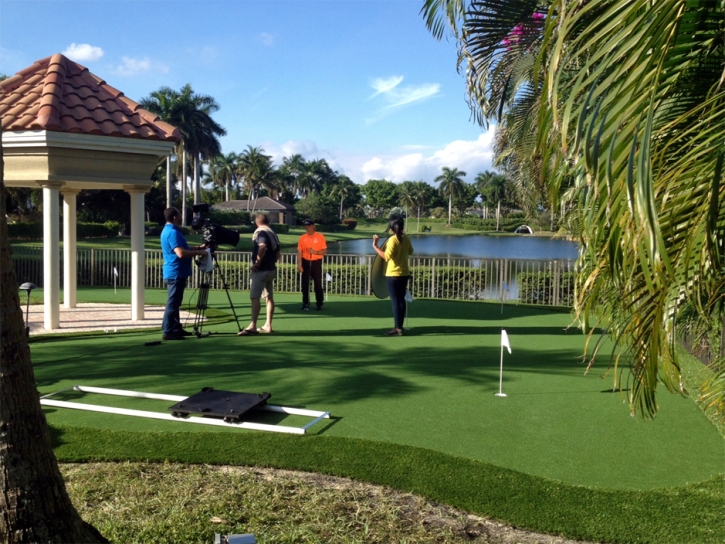 Plastic Grass Tara Hills, California Home Putting Green, Backyard Garden Ideas