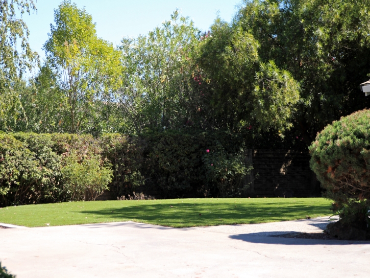 Synthetic Grass Ahwahnee, California Landscape Ideas, Front Yard