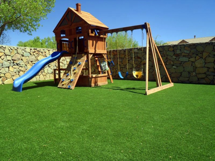 Synthetic Grass Cost Salinas, California Lawns, Backyard