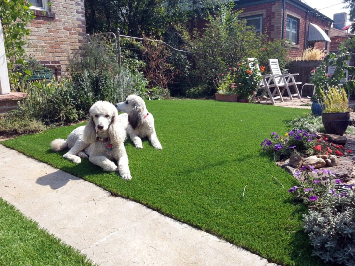 Synthetic Grass Templeton, California Backyard Playground, Front Yard Landscaping Ideas