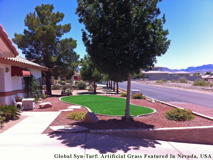 Synthetic Lawn Berkeley, California Gardeners, Front Yard Ideas