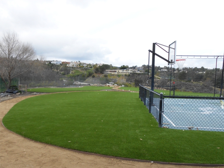 Synthetic Lawn Castro Valley, California Playground, Commercial Landscape