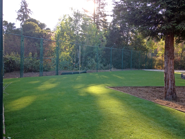Synthetic Lawn Menlo Park, California Landscaping, Parks