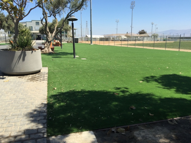 Synthetic Lawn Williams, California Paver Patio, Recreational Areas