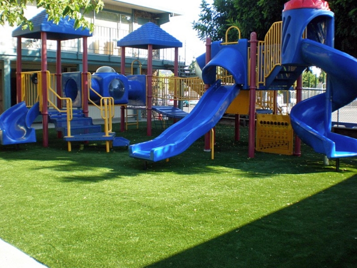 Synthetic Turf Ben Lomond, California Landscaping Business, Commercial Landscape