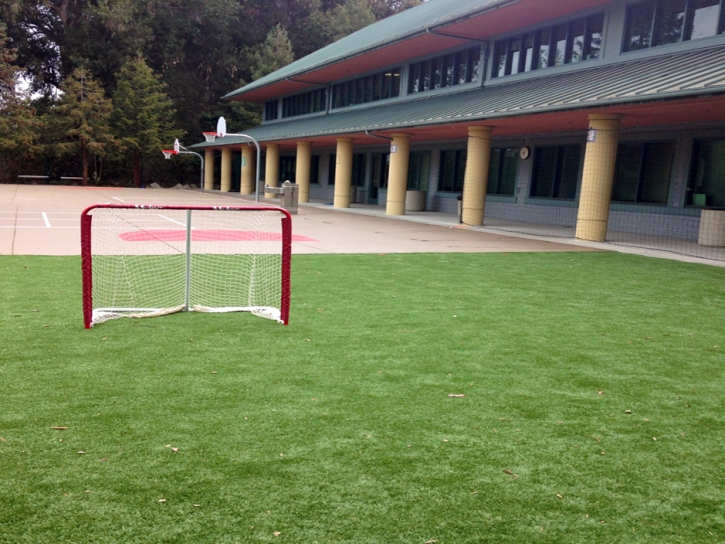 Synthetic Turf Carmel Valley Village, California Stadium, Commercial Landscape