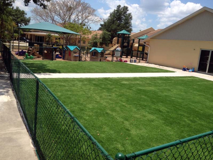 Synthetic Turf Supplier Mountain House, California Lawns, Commercial Landscape