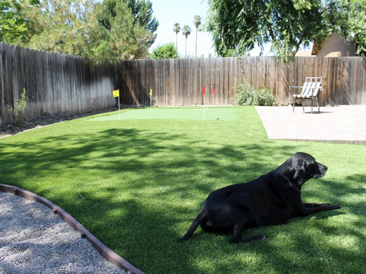 Synthetic Turf Supplier Oakdale, California Dog Run, Backyard Garden Ideas