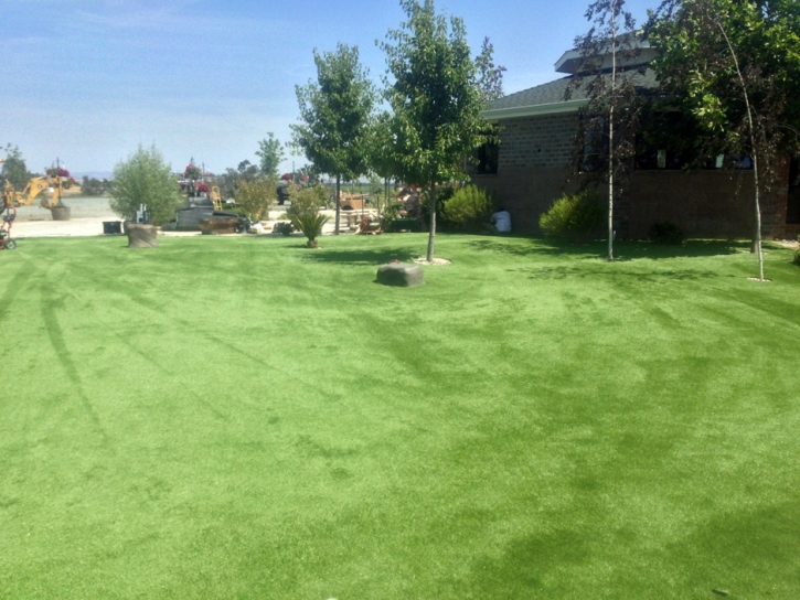 Synthetic Turf Supplier Petaluma, California Landscaping Business, Recreational Areas