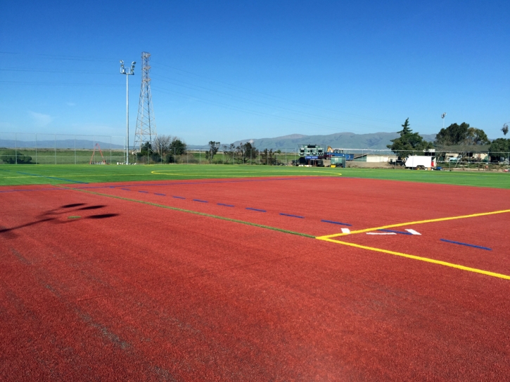 Synthetic Turf Supplier Vineyard, California Red Turf