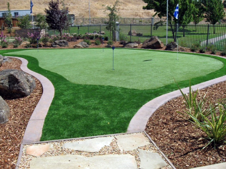 Synthetic Turf Winton, California Best Indoor Putting Green, Backyard Landscaping