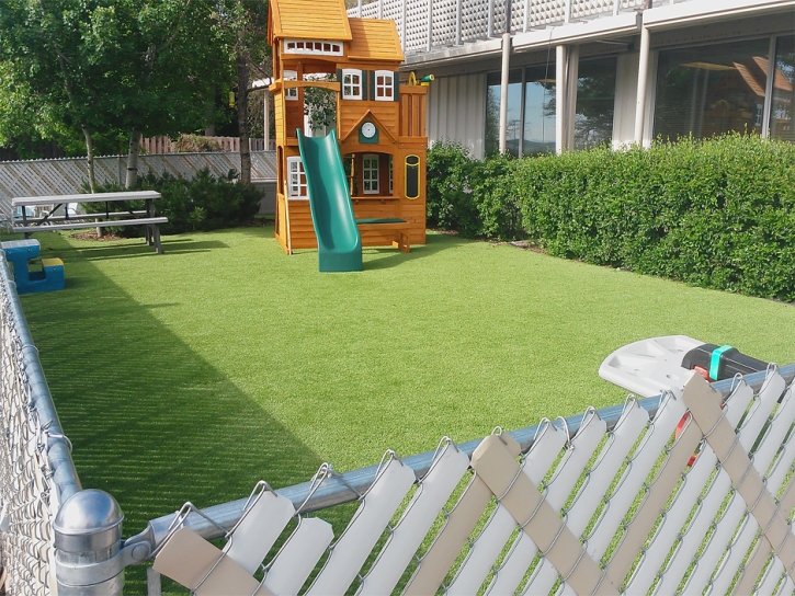 Turf Grass Arden-Arcade, California Landscape Rock, Backyard Landscaping