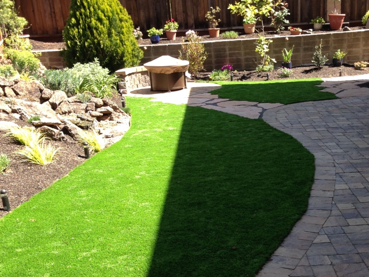 Turf Grass Plymouth, California Backyard Playground