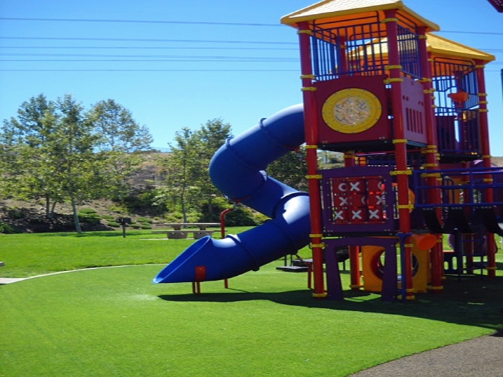 Turf Grass San Francisco, California Landscape Ideas, Parks