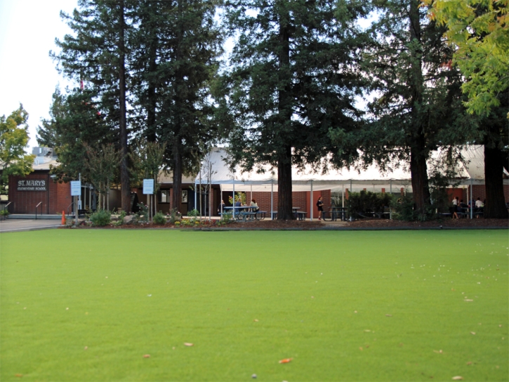 Turf Grass Sunnyvale, California Lawn And Landscape, Parks