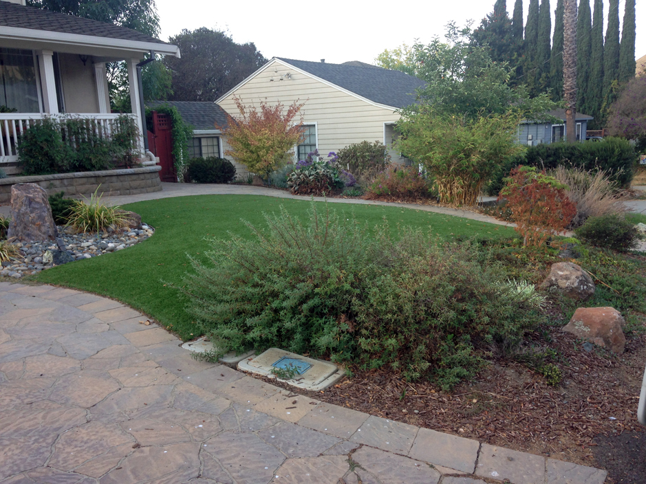 Best Artificial Grass Pinole California Design Ideas Front Yard Ideas