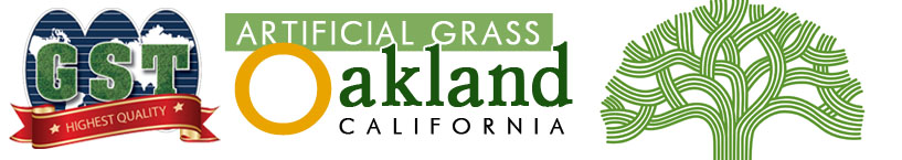 Artificial Grass Oakland, California